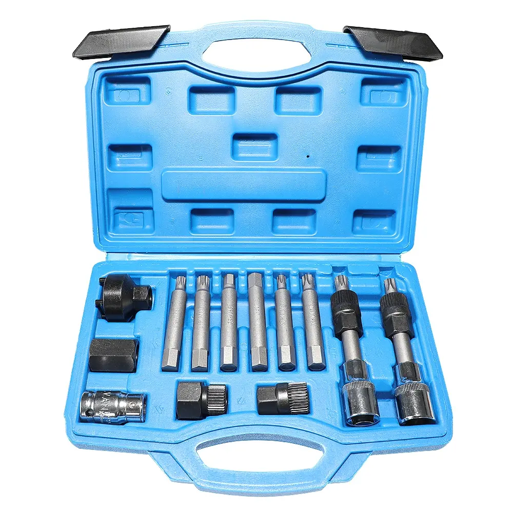 13-Piece Steel Alternator Pulley Tool Kit Insert Bit Socket Set for Car Pulley Removal Tool Decoupling Puller