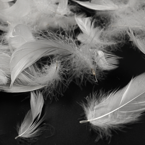 وسادة ريش البط من ماركة WX موديل WXD-24 منشأ أنهوي نمط مغسول آلة نتف كهربائية محمولة باليد مخصصة للاستخدام المنزلي/الفندقي - Product Image 4