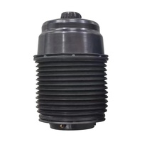 Ressorts pneumatiques arrière de haute qualité pour Mercedes-Benz GLE GLS 2019-2025 1673200025