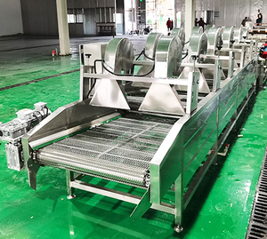 Automatische Obst- und Gemüse-Reinigungsmaschine mit Wasserrückgewinnungssystem, Energiesparend CE-Zertifiziert - Product Image 4