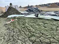 Matières premières de qualité sidérurgique, concentré de cuivre à faible teneur en soufre et respectueux de l'environnement, contient 18 à 22 % de cuivre