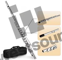 Wholesale/OEM/Factory Price Professional Performance of Flute, Playing Wind Instruments for Adult Beginners