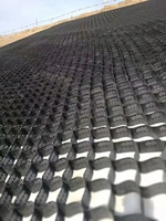 Géocell en plastique HDPE pour allées, murs de soutènement et grilles de gravier, pour la construction routière, vente en gros directe usine