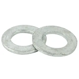 First-class service DIN9021 Inch Washers deeply favored by customers