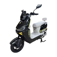 Moto électrique pour adulte Paige 60V 72V 1000W 1500W 2000W, cadre durable, personnalisable, acceptation OEM, directement de l'usine Paige