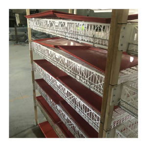 720 chim cút thị trường tốt 6 tầng mạ kẽm nhúng nóng tự động lồng chim cút Trắng/Nhà cung cấp lồng chim cút cho lớp sản xuất trứng - Product Image 2