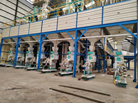 Máquina de Llenado y Cosido Automático de Sacos de Yute Ewinall DCS-50FE-C de 50 kg con Cortahilos Automático y Transportador Elevador