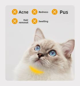 Piccolo animale portatile eco-friendly <span class=keywords><strong>Cat</strong></span> Bowl solido rotondo piatto in ceramica con funzione rialzata per viaggi all'aperto facile da pulire - Product Image 4