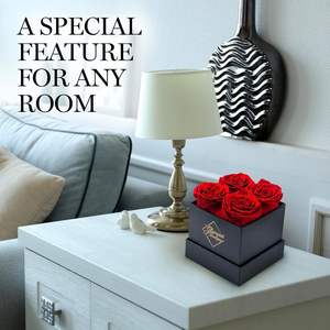 GLAMOUR BOUTIQUE Rosas Preservadas en Caja Cuadrada, 4 Flores Rojas, Regalo de Cumpleaños, Decoración Elegante para Mesa, Ecológico - Product Image 6