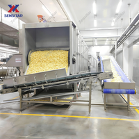 Sensitar Automatische Diepvriesfriet Productielijn Hoge Productiviteit Frituur- & Aardappelstokjesmachine