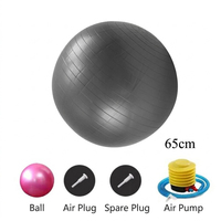 Pelota de Yoga Morada Reforzada de 65 cm para Programas de Envejecimiento Activo para Personas Mayores, Enfocada en la Prevención de Caídas, Equilibrio, Estabilidad y Coordinación