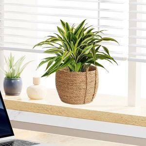Vente directe usine – Grand pot à fleurs en rotin tressé fait main avec poignée, panier en jonc de mer tissé à la main pour la cuisine - Product Image 4