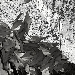 Ad alte prestazioni 6mm/10mm/15mm diamantati in fibra di carbonio quadrilatero tritati filamenti di carbonio estensibili fiocchi di carbonio per uso industriale - Product Image 4