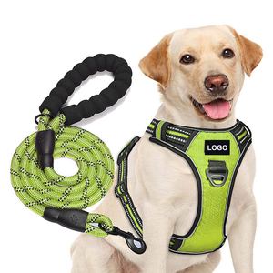 Harnais et laisse pour chien en néoprène hautement réfléchissant, personnalisés, résistants, réglables, de luxe, anti-traction - Product Image 3
