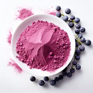 Wholesale Natural Blueberry Concentrate Juice Powder Blueberry Fruit Powder