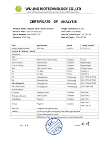 Poudre de champignon biologique Extrait de crinière de lion/poudre de champignon hericium Erinaceus/poudre de champignon crinière de lion Extrait de chaga alimentaire