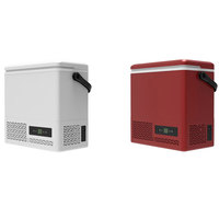 Glacière portable 12L mini pour camping, 12V/24V, étanche, écologique, pour voiture et extérieur