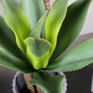 ต้นอะกาเว่ประดิษฐ์ QIHAO สำหรับตกแต่งภายใน ใบไม้จำลองคุณภาพสูง ต้นไม้พลาสติกสีเขียว ตกแต่งบ้าน - Product Image 4