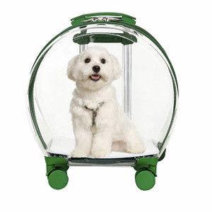 Sac de transport transparent Pauljet pour animaux de compagnie avec roulettes, vert, grande capacité, portable, pour chat et chien - Product Image 5