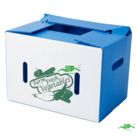 Boîte en plastique ondulé personnalisée par un fabricant OEM, en panneaux alvéolés en PP durables, résistants aux manipulations difficiles dans les chaînes logistiques