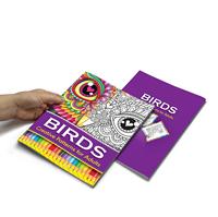 Livre de coloriage personnalisé pas cher pour enfants et adultes Service d'impression de livres d'activités parfait/reliure à coutures en spirale/selle