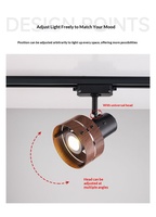 Spot COB Industriel Vintage LOFT avec Garniture en Fer, Design Creux, Lampe sur Rail Orientable pour Magasin Commercial, Bar, Intérieur