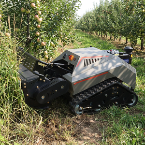 <span class=keywords><strong>Prix</strong></span> direct usine pour utilisation agricole avec épandeur d'engrais, tondeuses à fléaux diesel télécommandées - Product Image 1