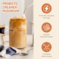 Service Personnalisé : Poudre de Reishi, Extrait de Champignon Biologique, Supplément Superaliment, Crème Probiotique, Café Instantané au Champignon, Latte