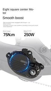 Vélo de montagne <span class=keywords><strong>électrique</strong></span> CYCTRAC EM19 E-MTB, vélo de ville, vélo <span class=keywords><strong>électrique</strong></span>, fibre de carbone, suspension intégrale, moteur central 250W, 48V, <span class=keywords><strong>12</strong></span> <span class=keywords><strong>vitesses</strong></span> cachées - Product Image 6