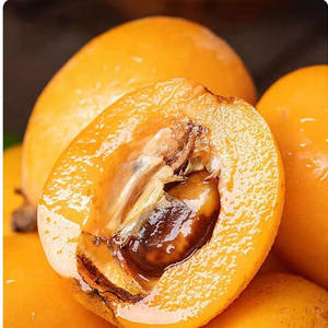 Snack giornalieri di alta qualità frutta secca agrodolce nespolo essiccato conservato - Product Image 5