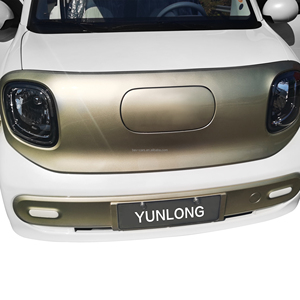 EEC L7e voiture électrique cabriolet à vendre caméra arrière chinoise RWD AM permis de conduire 220km d'autonomie 90 km/h intérieur de lumière de vitesse - Product Image 5