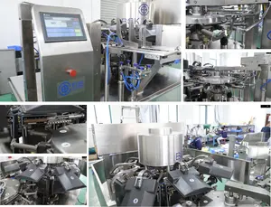 Wanhong Automatic Ready To Eat Meat Pouch Packing Machine