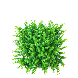 Cartel <span class=keywords><strong>de</strong></span> decoración <span class=keywords><strong>de</strong></span> tienda <span class=keywords><strong>de</strong></span> interior con certificación UV, pared <span class=keywords><strong>de</strong></span> fondo <span class=keywords><strong>de</strong></span> eucalipto simulado con césped artificial y tienda <span class=keywords><strong>de</strong></span> pared <span class=keywords><strong>de</strong></span> flores <span class=keywords><strong>de</strong></span> plástico - Product Image 1