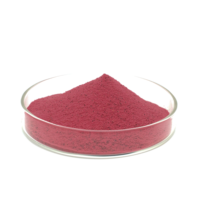 Poudre de fruit du dragon lyophilisée Poudre de dragon pourpre rouge Poudre de jus de fruit du dragon