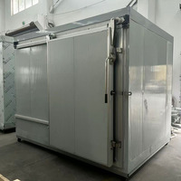 Cámara Frigorífica Móvil Modular, Reutilizable, con Refrigerante Ecológico, para Alimentos, Farmacéutica, Eventos al Aire Libre, Alivio en Casos de Desastre