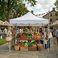 Carpa Comercial Plegable Impermeable de 10x10 para Vendedores de Alimentos, Ideal para Puestos de Mercado al Aire Libre (Venta al Por Mayor)