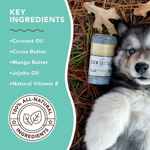 Pata chupete palo Natural orgánica de curación Paw Pad bálsamo para mascotas-perro pata bálsamo - Product Image 5
