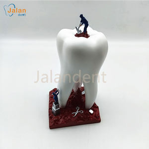 Alla moda sculture dentali regali da scrivania dentaria decorazione dentaria in resina scultura decorazione clinica odontoiatrica - Product Image 3