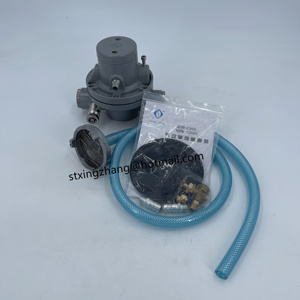 Pompe à membrane pneumatique QDM-CJ601S <span class=keywords><strong>CHANG</strong></span> <span class=keywords><strong>JIANG</strong></span> pour machine à carton - Product Image 4