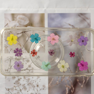 Bela — artisanat pour ongles, décoration pour Nail Art, fait à la main, avec petites fleurs pressées - Product Image 2