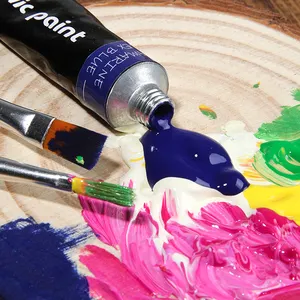 Gxin P-3001 Fabrik hohe Qualität 12 Farben 12ml Acrylfarbe für Künstler wasserdichte Acryl Kunst Farbe Set für Kinder