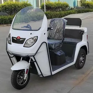 Three Wheel E Bike 2 Seats Battery Driving Electric Pedal Passenger Rickshaw Tricycle