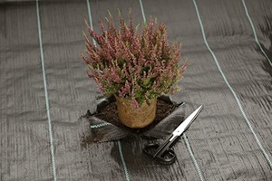 YRH usine noir PP usage agricole plastique paillis Anti-herbe tissu couvre-sol tissé contrôle des mauvaises herbes tissu rouleau feuille - Product Image 2