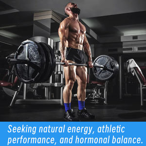 Cápsulas para la Mejora Masculina con MOQ Bajo, Mejoran la Energía y el Estado de Ánimo, Suplemento Herbal, Cápsulas de Apoyo Hormonal Natural para Hombres - Product Image 5