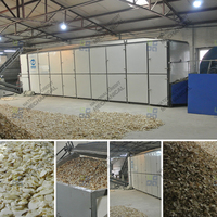 Déshydrateur/Sécheur Industriel pour Déchets Alimentaires, Machine de Séchage pour Bagasse de Canne à Sucre, Marc de Fruits, Écorces d'Orange
