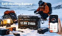 Batterie LiFePO4 Enlzh à décharge profonde 12V 314AH avec Bluetooth et auto-chauffage, rechargeable, pour camping-car (US, EU, CA, AU, JP, DE)
