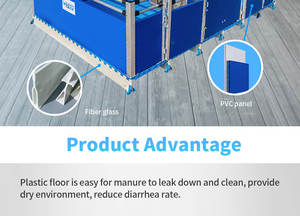 Jaula de Destete para Cerdos Galvanizada en Caliente, Nueva, de la Mejor Calidad, Alta Productividad, Fácil de Limpiar y de Larga Vida Útil - Product Image 3