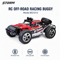 Voiture télécommandée RC Buggy tout-terrain 2.4G avec système de suspension, modèle à l'échelle 1:16, pour intérieur/extérieur STORM BG1513