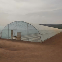 Kit de serre en acier galvanisé à simple travée avec film PE, 8x30m, structure de culture commerciale pour légumes, montage facile