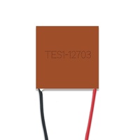 TES1-12703 20x20mm Thermoelektrischer Kühler TE Maßgeschneidertes Klimaanlagen-Wassergenerator-Kühlkit 5V 12V Peltier-Modul